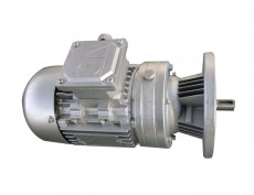 WB系列微型擺線針輪減速電動機(jī)